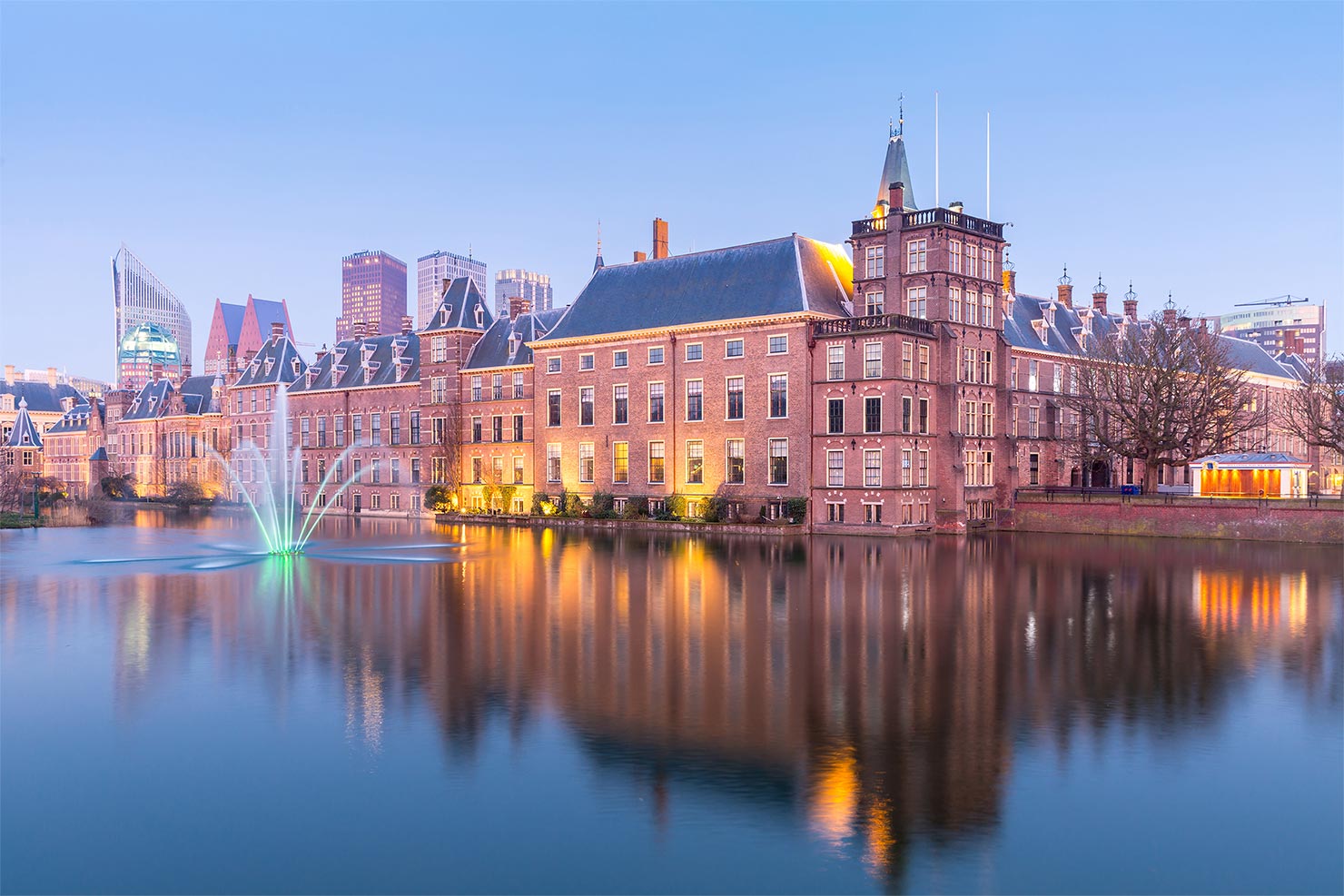 systeembeheer den haag wizzbit